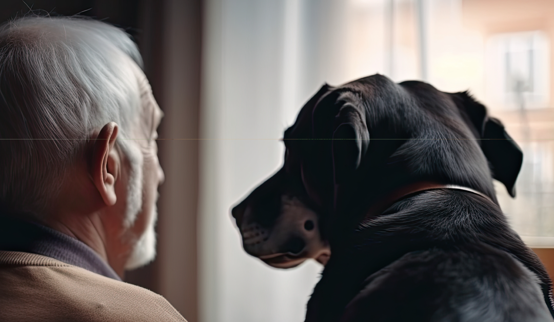 The Benefits of Owning a Pet in Retirement