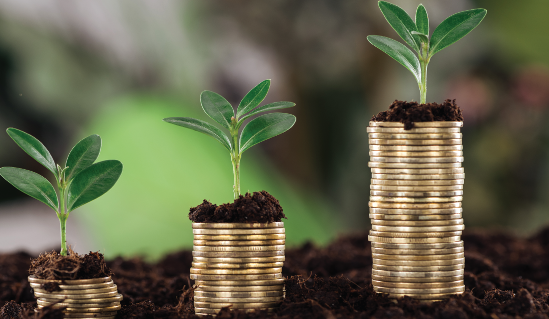 Understanding Capital Gains and Losses