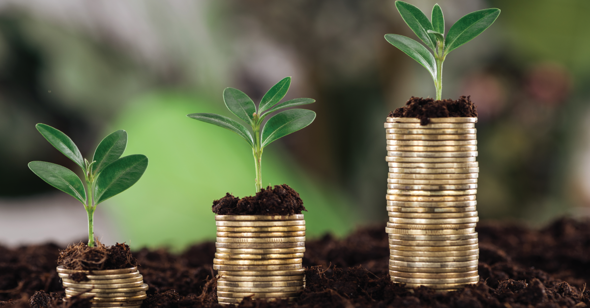 Understanding-Capital-Gains-and-Losses